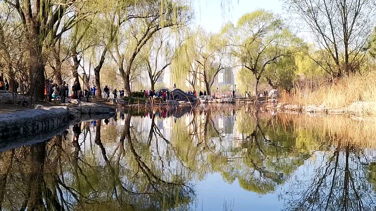 晨练#寻美春天