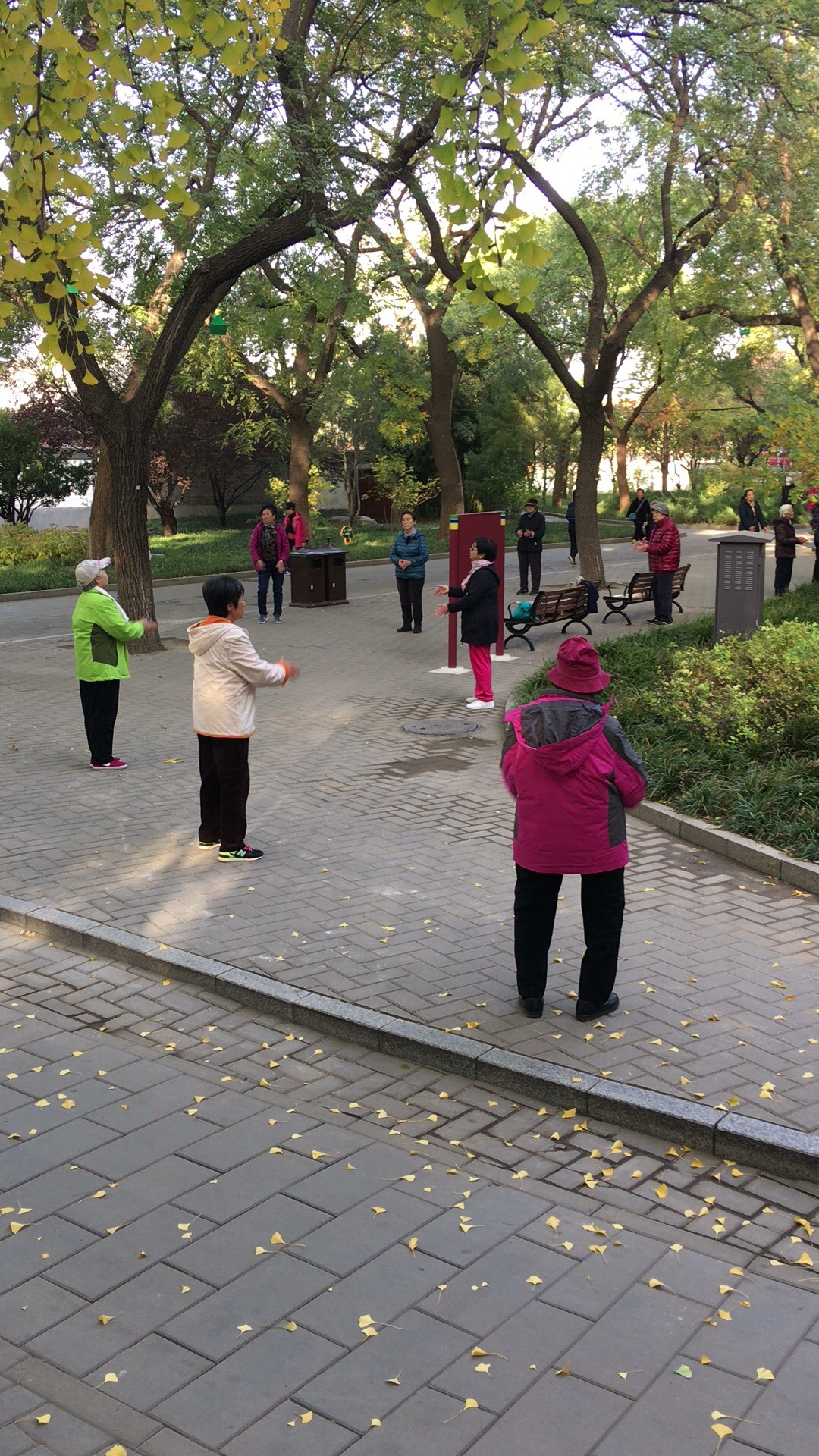 北海公园晨练的人们