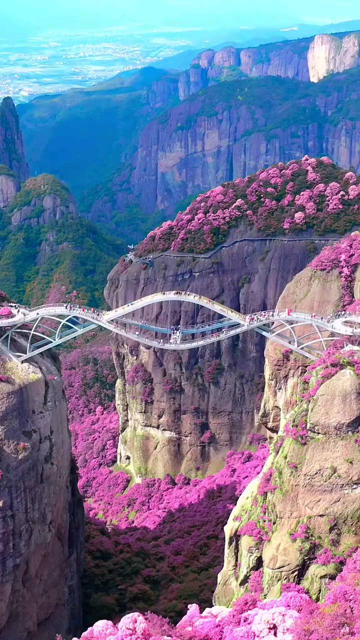 转发浙江神仙居如意桥